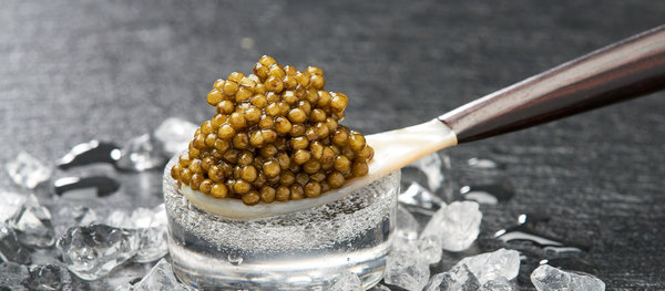Imperial Kaviar 20 Gramm