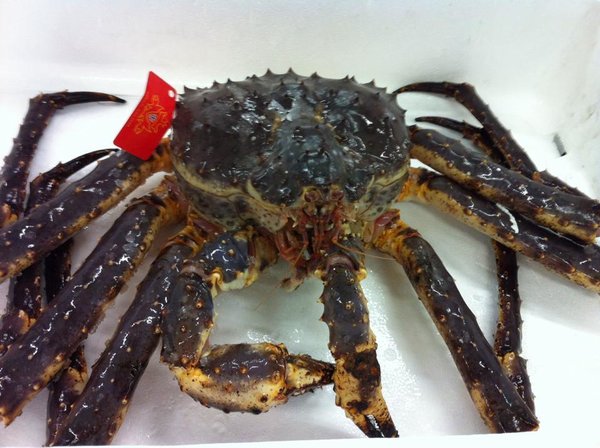 King Crab Beine, TK 500 Gramm