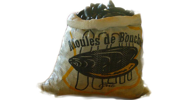 Bouchot Muscheln aus Frankreich, 5 kg Sack